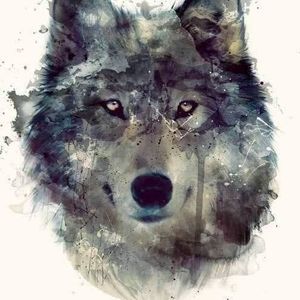 Meet your Posher, Aubrey